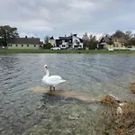 Viigi Haapsalu
