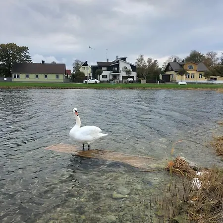 Viigi Haapsalu